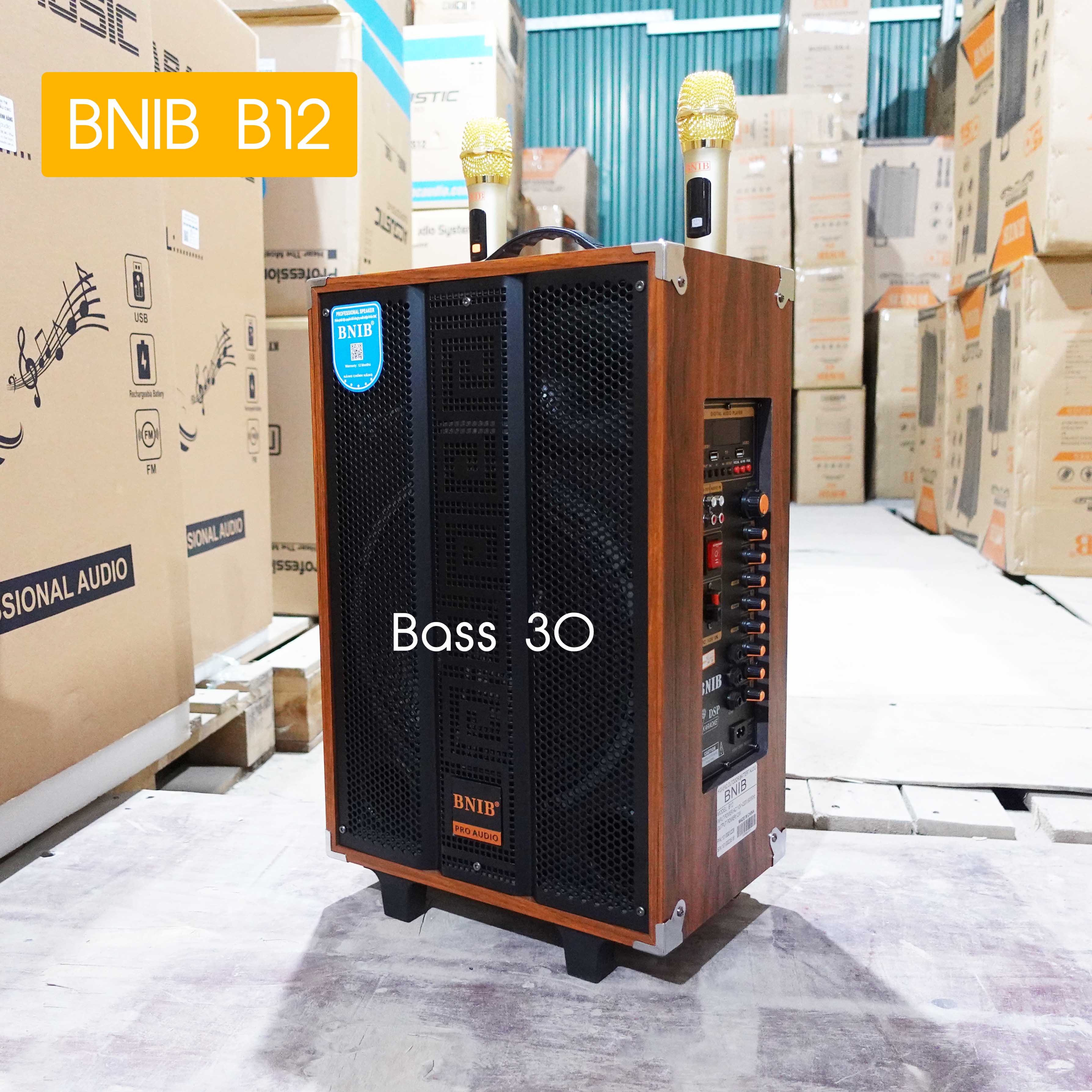 Loa kéo karaoke 3 đường tiếng BNIB B12 Bass 30 mới nhất 2024, âm thanh chi tiết sống động, tặng cặp micro không dây